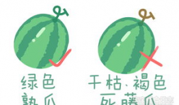 用吃瓜爆料的形式打广告,吃出惊喜，爆出美味！